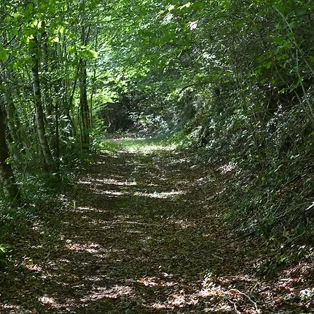 Hermitage St Roch Arc-en-Barrois