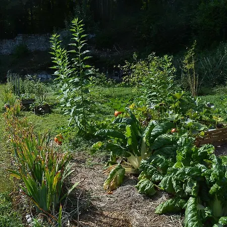 Hermitage St Roch Arc-en-Barrois