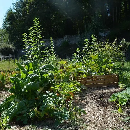 Hermitage St Roch Arc-en-Barrois