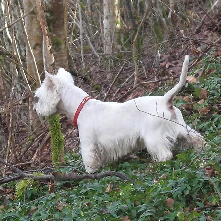 Hermitage St Roch 4*