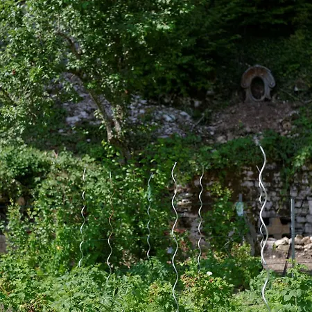 Hermitage St Roch 4*