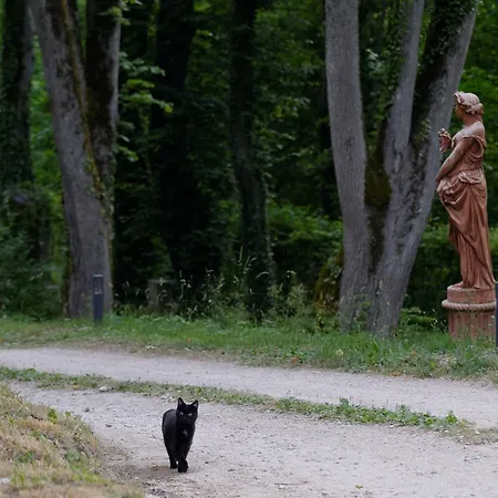Otel Hermitage St Roch Arc-en-Barrois