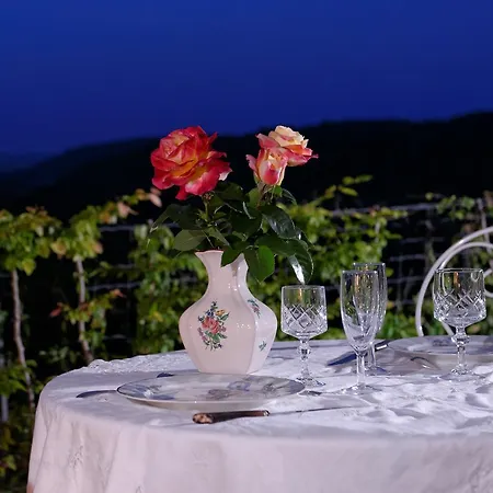 Hermitage St Roch 4* Arc-en-Barrois