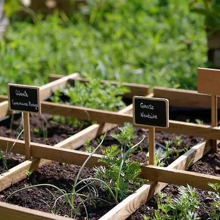 Hermitage St Roch Arc-en-Barrois