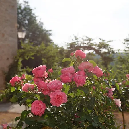 Hermitage St Roch Hotel Arc-en-Barrois
