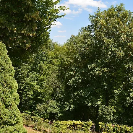 Hotel Hermitage St Roch Arc-en-Barrois